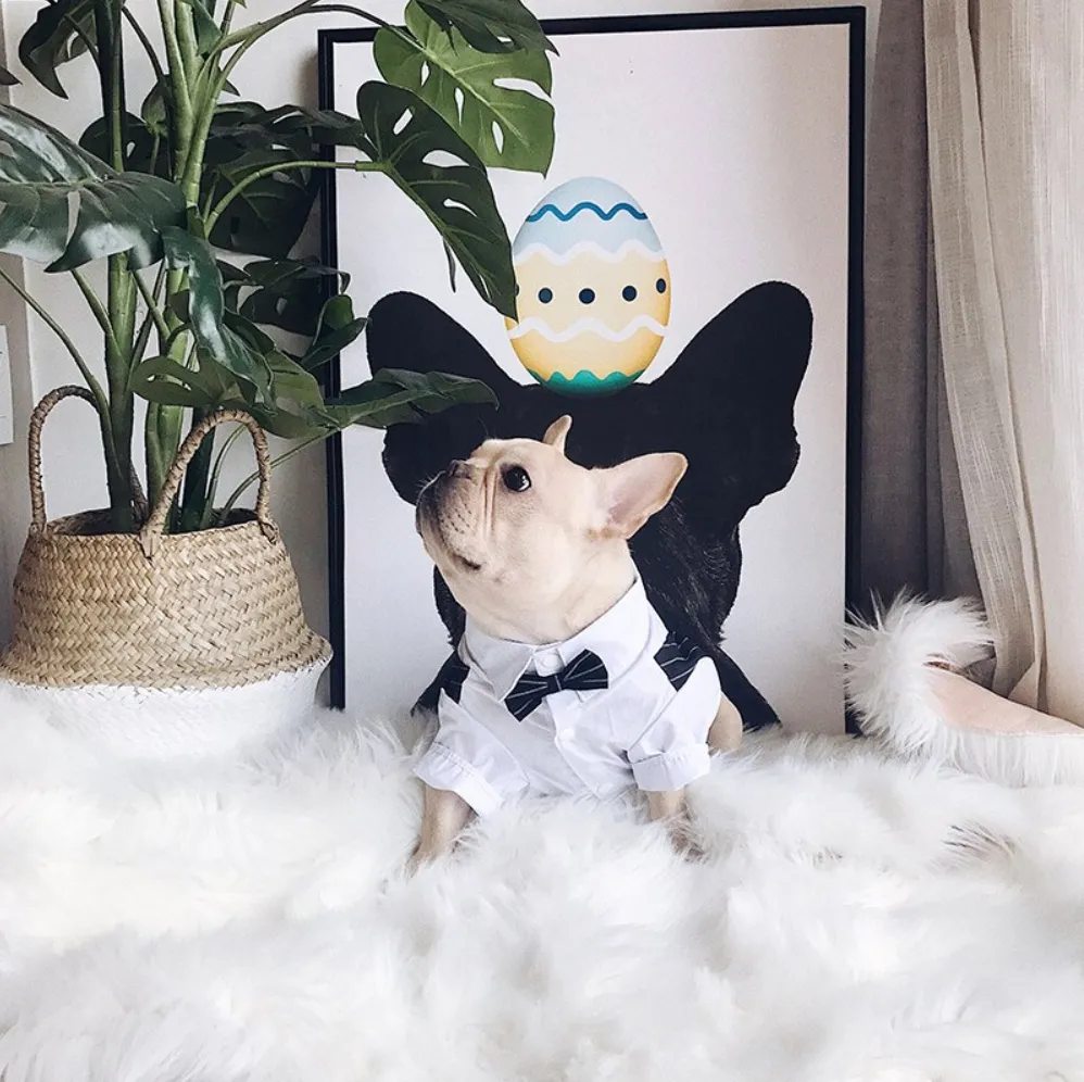 Suit Vest and Bow Tie Wedding Outfit