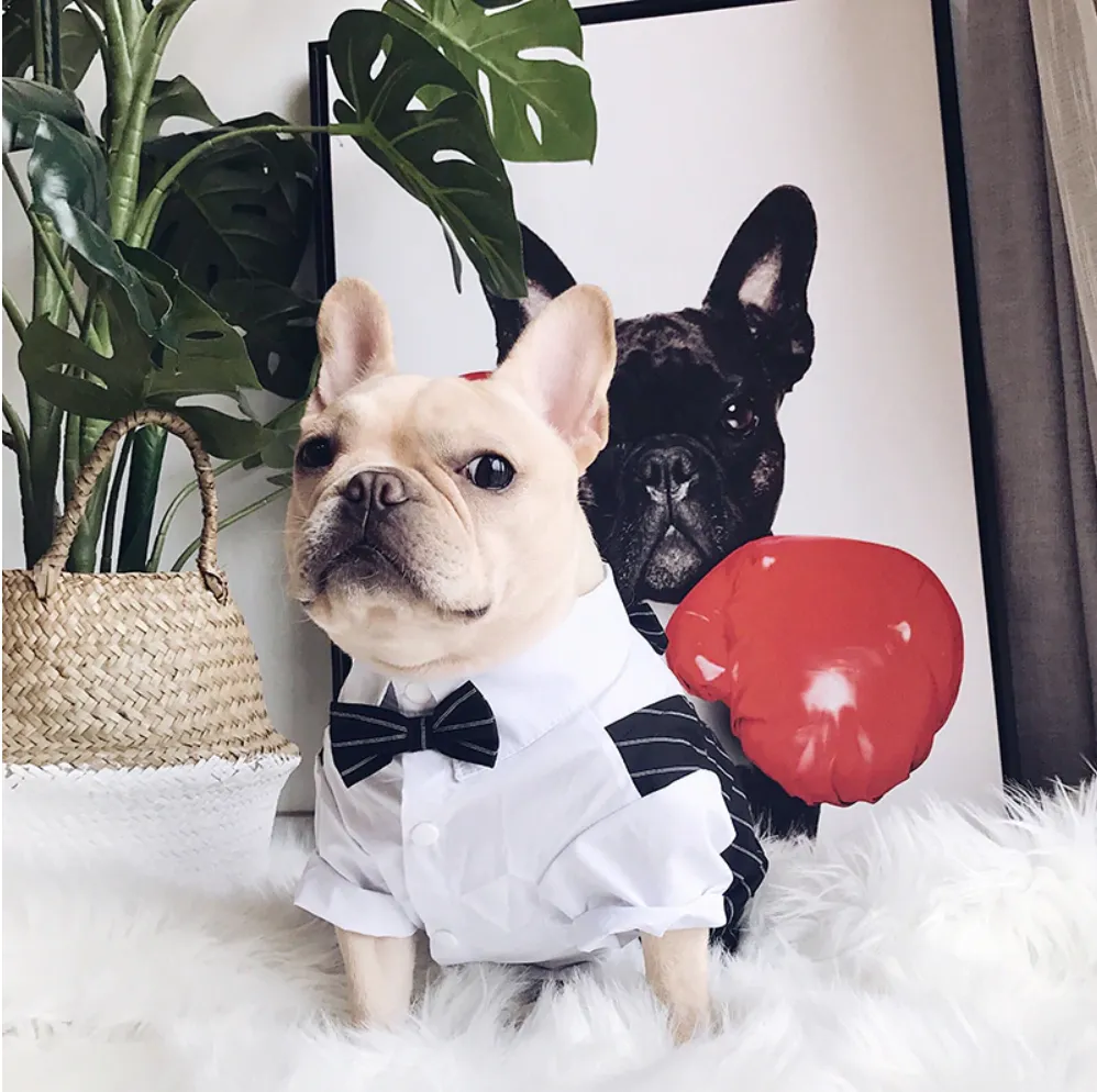 Suit Vest and Bow Tie Wedding Outfit