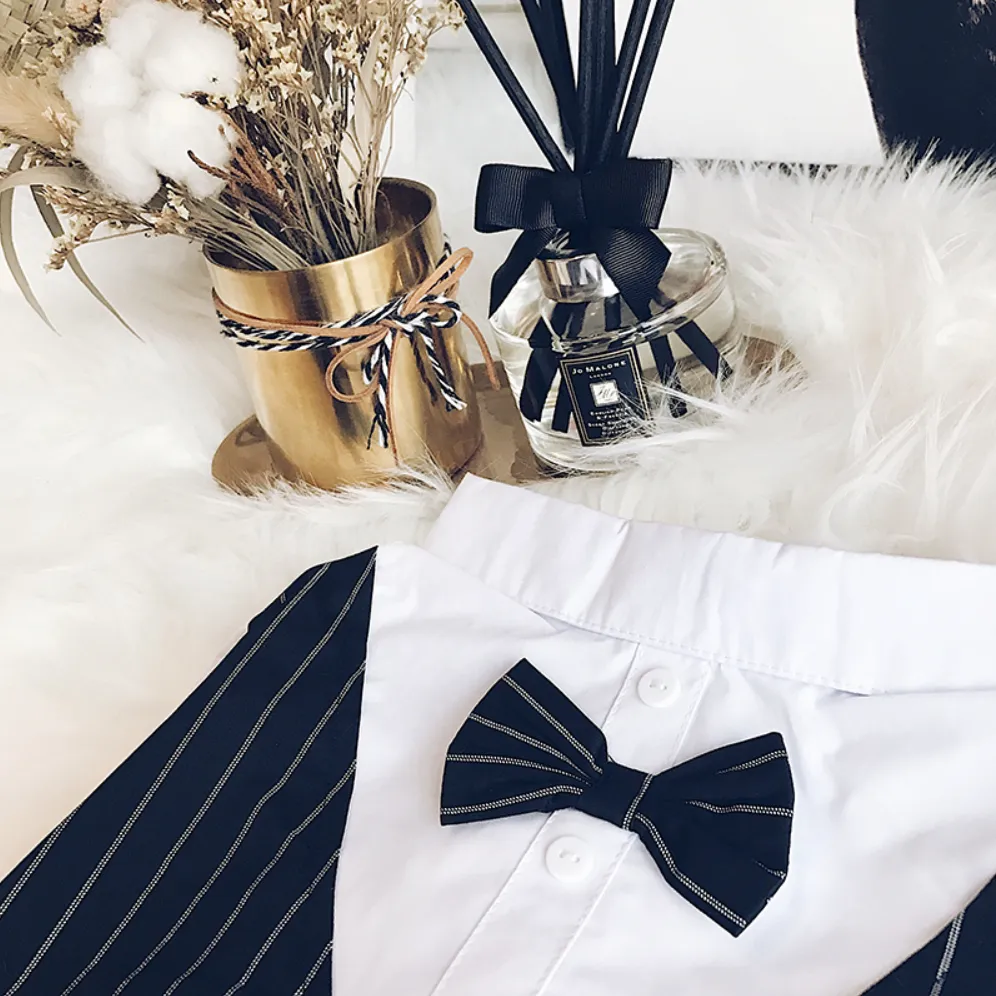Suit Vest and Bow Tie Wedding Outfit