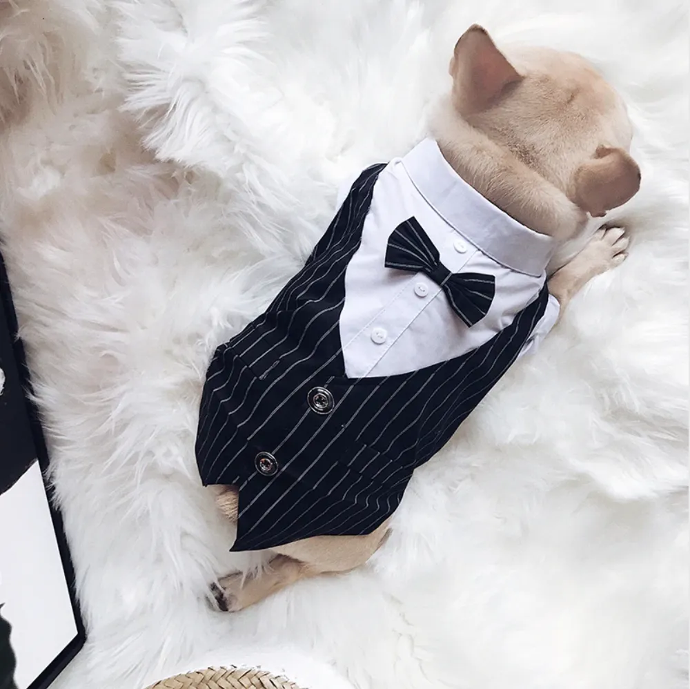 Suit Vest and Bow Tie Wedding Outfit